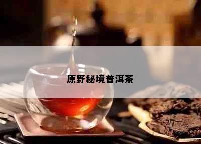 原野秘境普洱茶