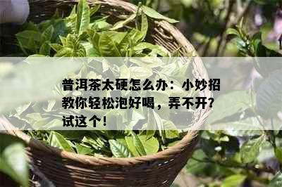 普洱茶太硬怎么办：小妙招教你轻松泡好喝，弄不开？试这个！