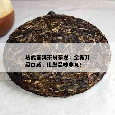 易武普洱茶易泰龙：全新升级口感，让您品味非凡！