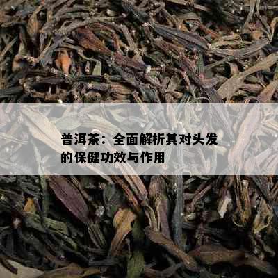 普洱茶：全面解析其对头发的保健功效与作用