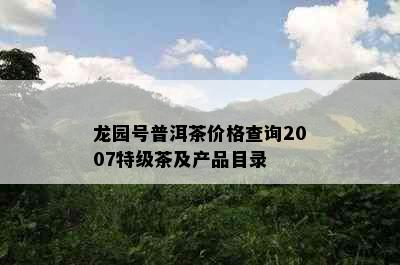 龙园号普洱茶价格查询2007特级茶及产品目录