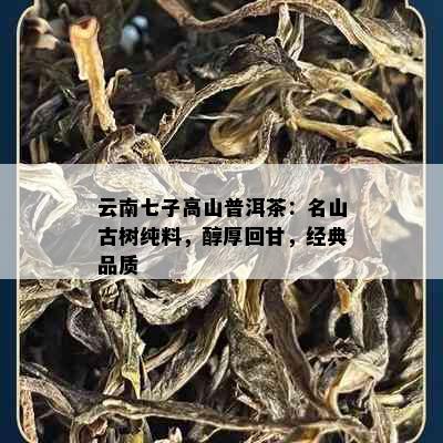 云南七子高山普洱茶：名山古树纯料，醇厚回甘，经典品质