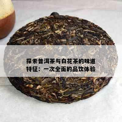 探索普洱茶与白花茶的味道特征：一次全面的品饮体验