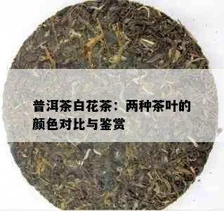 普洱茶白花茶：两种茶叶的颜色对比与鉴赏