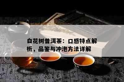 白花树普洱茶：口感特点解析，品鉴与冲泡方法详解