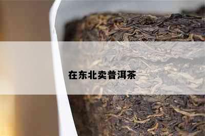 在东北卖普洱茶