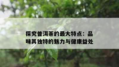 探究普洱茶的更大特点：品味其独特的魅力与健康益处