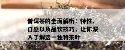 普洱茶的全面解析：特性、口感以及品饮技巧，让你深入了解这一独特茶叶