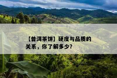 【普洱茶饼】硬度与品质的关系，你了解多少？