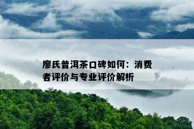 廖氏普洱茶口碑如何：消费者评价与专业评价解析