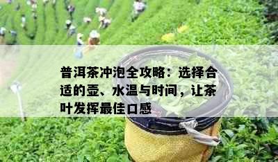 普洱茶冲泡全攻略：选择合适的壶、水温与时间，让茶叶发挥更佳口感