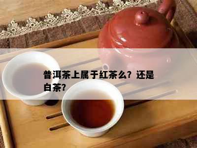 普洱茶上属于红茶么？还是白茶？