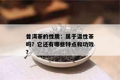 普洱茶的性质：属于温性茶吗？它还有哪些特点和功效？