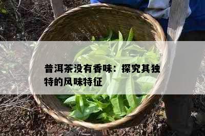 普洱茶没有香味：探究其独特的风味特征