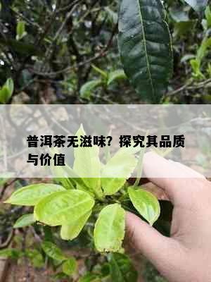 普洱茶无滋味？探究其品质与价值