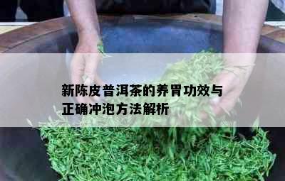 新陈皮普洱茶的养胃功效与正确冲泡方法解析