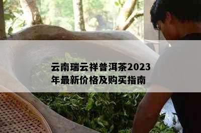 云南瑞云祥普洱茶2023年最新价格及购买指南