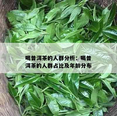 喝普洱茶的人群分析：喝普洱茶的人群占比及年龄分布