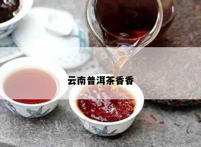 云南普洱茶香香