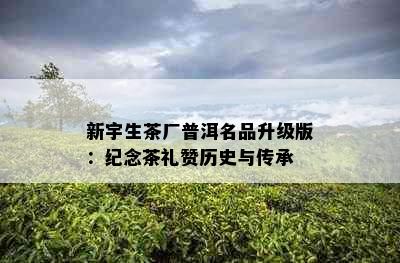 新宇生茶厂普洱名品升级版：纪念茶礼赞历史与传承