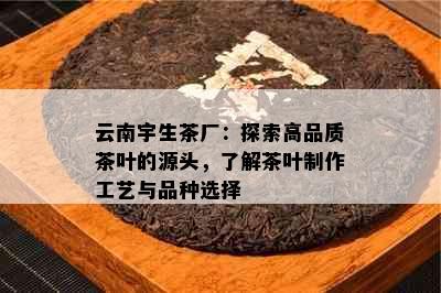 云南宇生茶厂：探索高品质茶叶的源头，了解茶叶制作工艺与品种选择