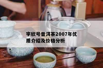 宇欣号普洱茶2007年优质介绍及价格分析