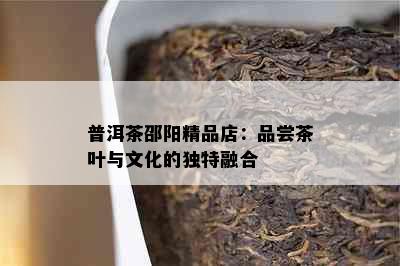 普洱茶邵阳精品店：品尝茶叶与文化的独特融合