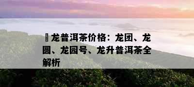 犇龙普洱茶价格：龙团、龙圆、龙园号、龙升普洱茶全解析