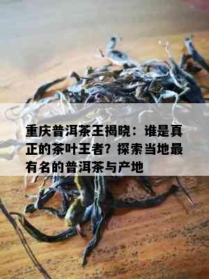 重庆普洱茶王揭晓：谁是真正的茶叶王者？探索当地最有名的普洱茶与产地