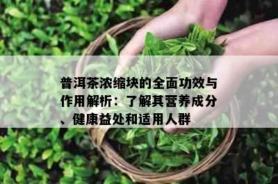 普洱茶浓缩块的全面功效与作用解析：了解其营养成分、健康益处和适用人群