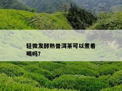 轻微发酵熟普洱茶可以煮着喝吗？