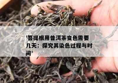 '菩提根用普洱茶变色需要几天：探究其染色过程与时间'