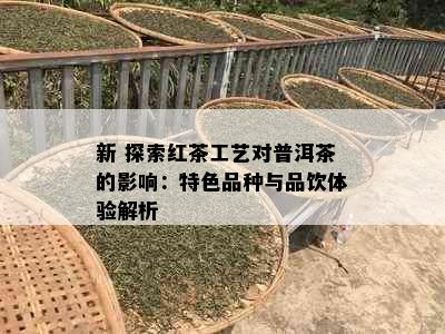 新 探索红茶工艺对普洱茶的影响：特色品种与品饮体验解析