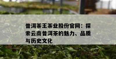 普洱茶王茶业股份官网：探索云南普洱茶的魅力、品质与历史文化