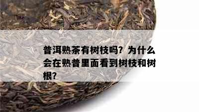 普洱熟茶有树枝吗？为什么会在熟普里面看到树枝和树根？