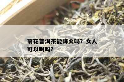 菊花普洱茶能降火吗？女人可以喝吗？