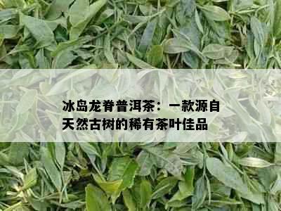 冰岛龙脊普洱茶：一款源自天然古树的稀有茶叶佳品