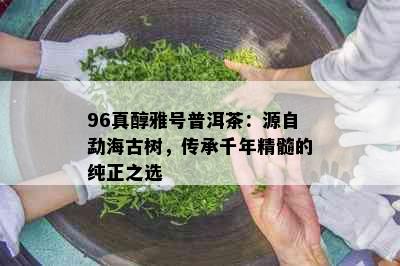 96真醇雅号普洱茶：源自勐海古树，传承千年精髓的纯正之选