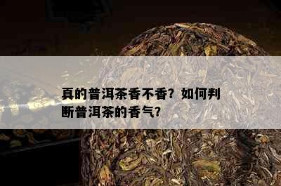 真的普洱茶香不香？如何判断普洱茶的香气？