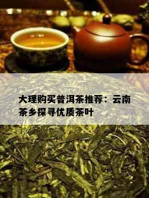 大理购买普洱茶推荐：云南茶乡探寻优质茶叶