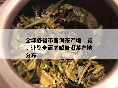 全球各省市普洱茶产地一览，让您全面了解普洱茶产地分布