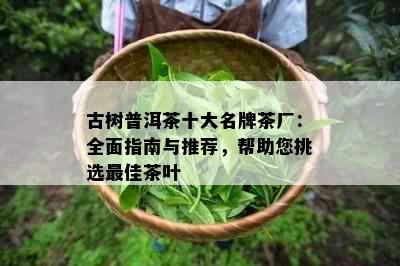 古树普洱茶十大名牌茶厂：全面指南与推荐，帮助您挑选更佳茶叶