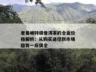 老曼峨特级普洱茶的全面价格解析：从购买途径到市场趋势一应俱全