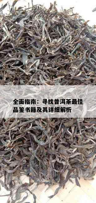 全面指南：寻找普洱茶更佳品鉴书籍及其详细解析