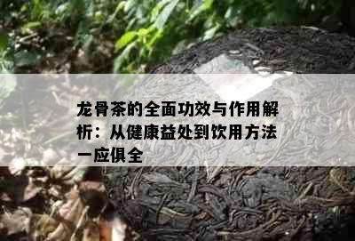 龙骨茶的全面功效与作用解析：从健康益处到饮用方法一应俱全