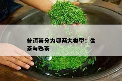 普洱茶分为哪两大类型：生茶与熟茶