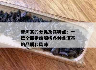 普洱茶的分类及其特点：一篇全面指南解析各种普洱茶的品质和风味