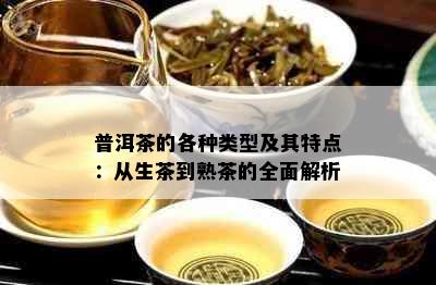 普洱茶的各种类型及其特点：从生茶到熟茶的全面解析