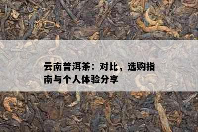 云南普洱茶：对比，选购指南与个人体验分享