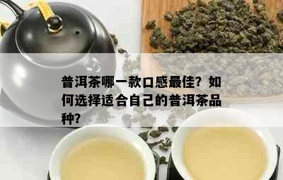 普洱茶哪一款口感更佳？如何选择适合自己的普洱茶品种？